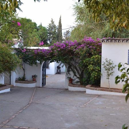 Casa Rural Sevilla, Olivares Olivares  Ngoại thất bức ảnh