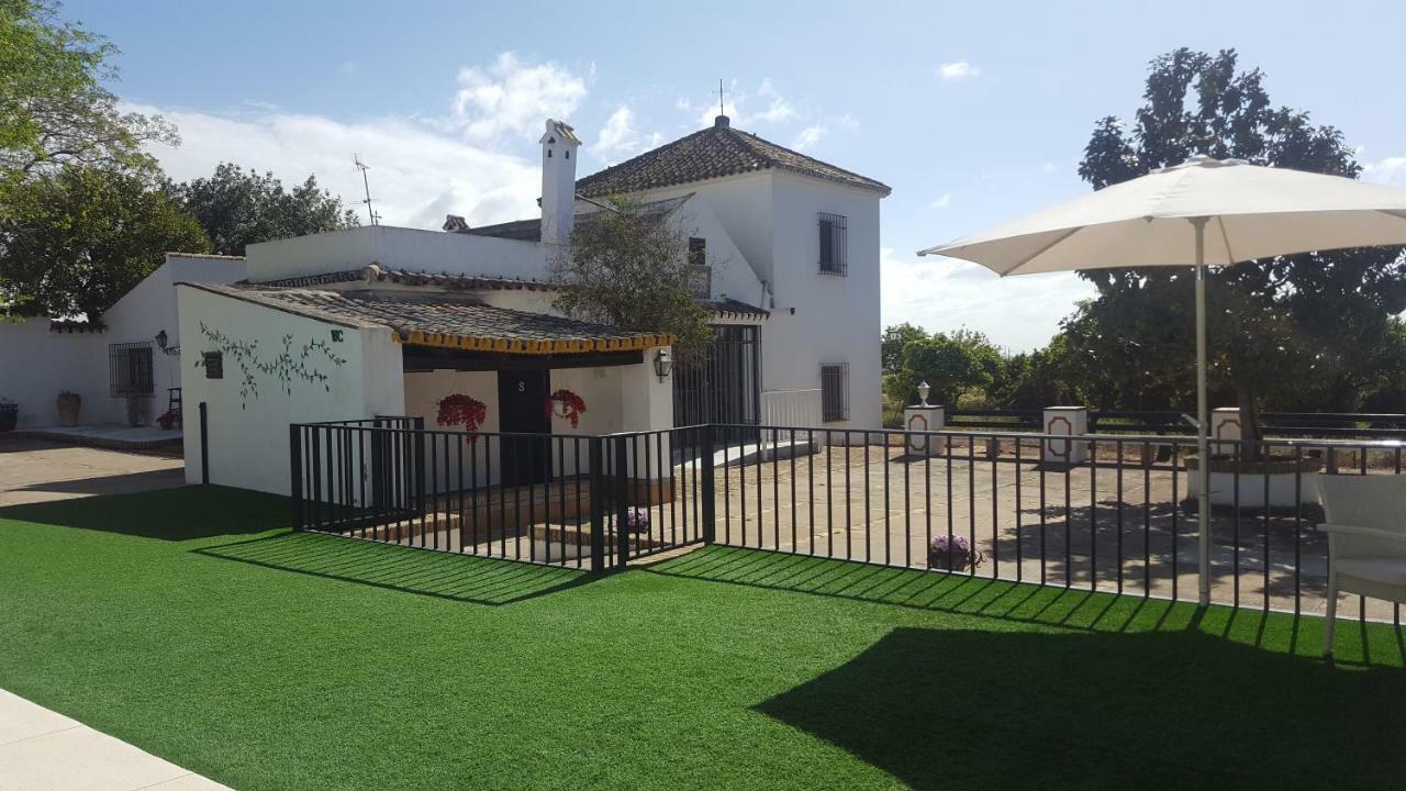 Casa Rural Sevilla, Olivares Olivares  Ngoại thất bức ảnh