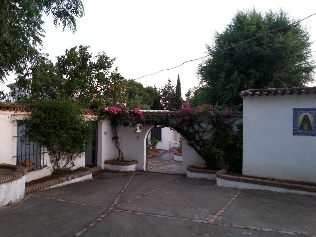 Casa Rural Sevilla, Olivares Olivares  Ngoại thất bức ảnh